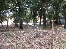 file014.jpg (7M 3648x2736)