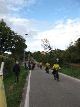 file017.jpg (4M 2736x3648)