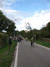 file019.jpg (4M 2736x3648)