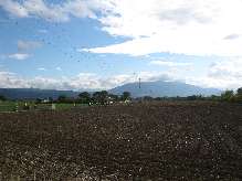 file033.jpg (4M 3648x2736)